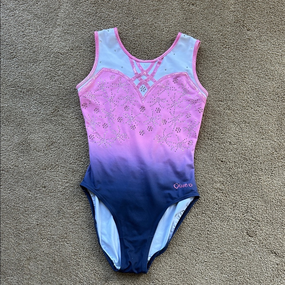 Pink and Blue Women's Leotard